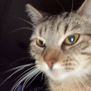 Meet your Posher, Alexis